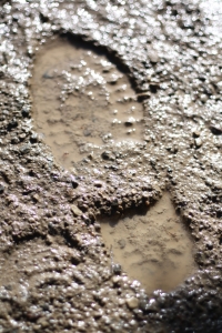 mud-shoe-print_21344649