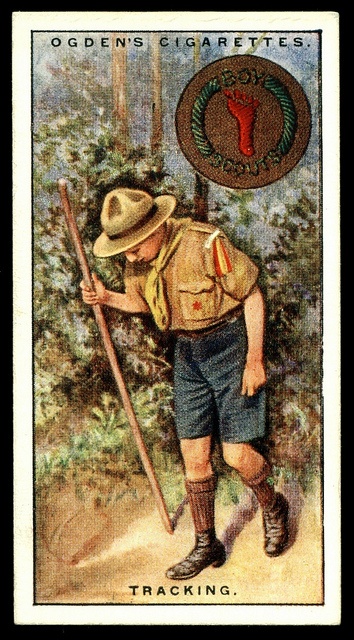 9de57da34aa7ae28a7e0476a75c4341a--boy-scouting-trading-cards